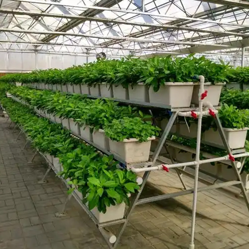 松原市植物工厂玻璃温室 - 推荐