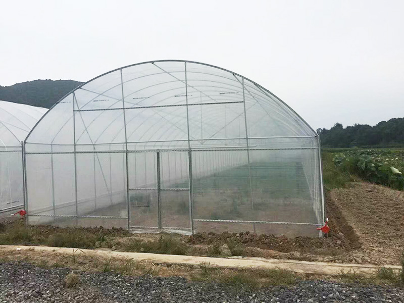 松原市薄膜大棚无土栽培 - 厂家